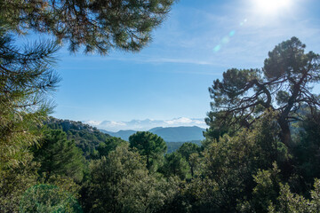 Obraz na płótnie Canvas View of the three highest snow-capped peaks in Sierra Nevada from the Sierra de Huétor natural park