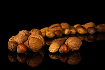 High Contrast of Seasonal organic mixed nuts