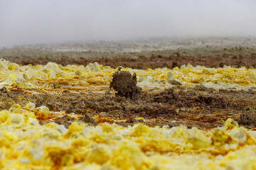 yellow and red stones in a volcanic crater that heat and boil from the heat