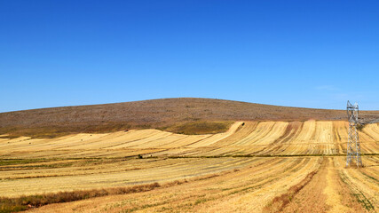 Fototapeta na wymiar Majestic hill above hay fields in summer