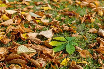 Autumn, Czechia