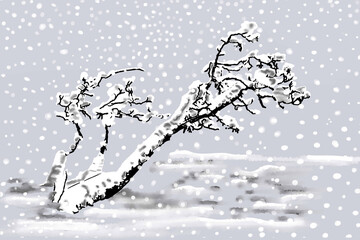 albero solitario carico di neve sotto la nevicata in inverno