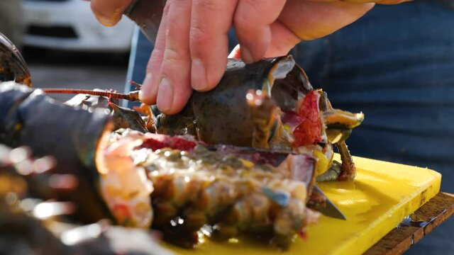 cutting and preparing a fresh Galician lobster to cook a rice or lobster paella
