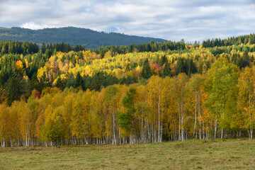 autumn in Sumava, Sumava National Park, Czechia