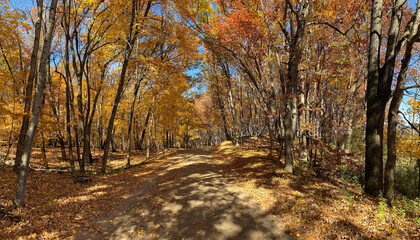 Fall Autumn Panorama Landscape