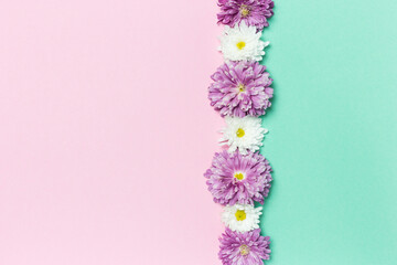 Creative layout made with white and violet flowers on pastel pink and green background