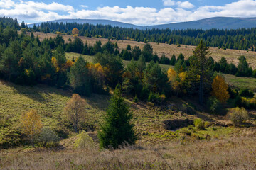 autumn in Sumava, Sumava National Park, Czechia