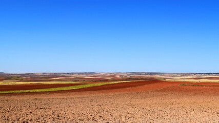 Parcels of cultivated fields stretch to the horizon in an arid dryland plain in midsummer