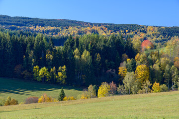 Fototapeta premium autumn in Sumava, Sumava National Park, Czechia
