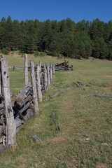 Forest Fence