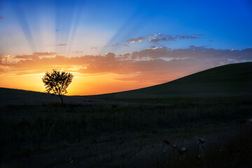 SUNSET IN THE FIELDS OF ANDALUCIA