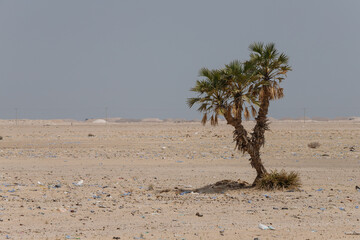 in the desert tossed in the sand a lot of plastic bottles and other waste