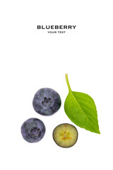 Fresh blueberry on white background