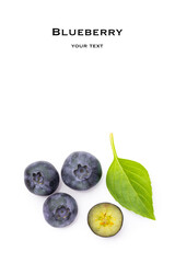 Fresh blueberry on white background