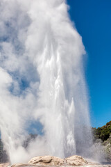 Obraz premium Pohutu Geyser in Te Puia