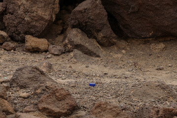 in the desert tossed in the sand a lot of plastic bottles and other waste