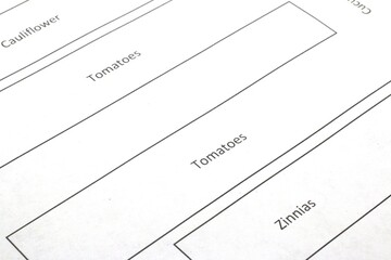 Close up image of a raised garden plan.