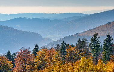 Naklejka na ściany i meble autumn in Jesniky, Jeseniky, northern Moravia, Czechia