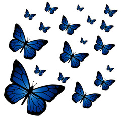 Fototapeta na wymiar set of blue butterflies
