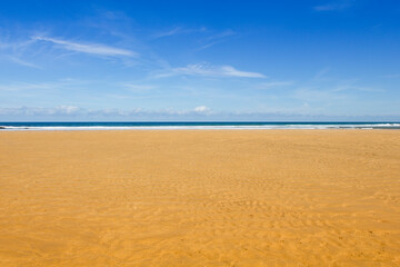wet sand on the beach with the sea in the background and a blue sky. space for copy and text. background for vacations and travel