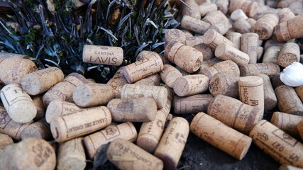 Wine corks background, overhead photo of red and white wine corks