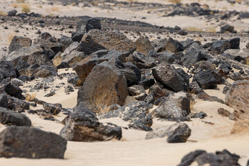 Fototapeta na wymiar dark stones in the light sand of the desert create a colored contrast