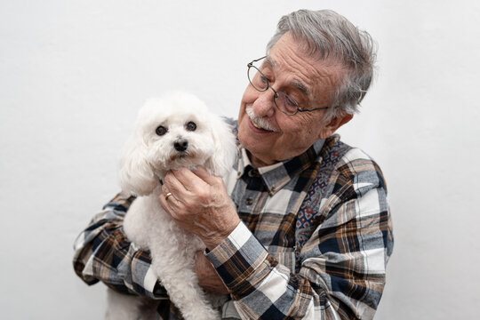 Portrait of smiling caucasian senior man age 75-80 with white poodle dog. Сoncept of happy old age