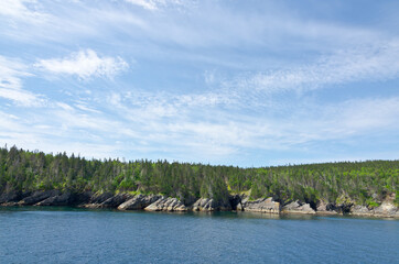The shore of Newfoundland
