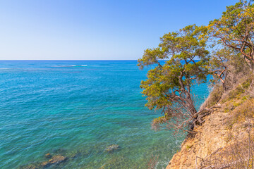 Fototapeta na wymiar cliff and coast of the sea