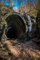 old train tunnel in autumn forest