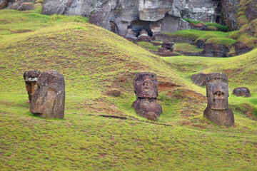 Moai on the slopes of the Rano Raraku Volcano, on Easer Island, surrounded by green vegetation.