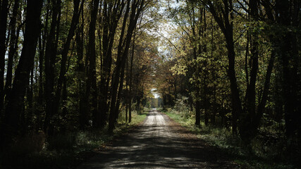Obraz premium Autumn Country Road