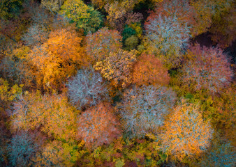 Autumn for aerial