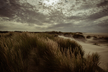 Nedeland dunes noorzee beach