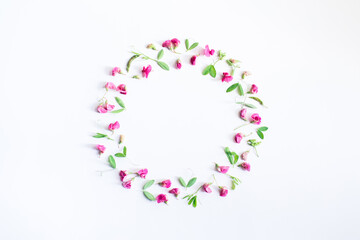 Flowers composition. Wreath made of pink flowers and leaves on white background. Spring, easter, summer concept. Flat lay, top view, copy space.