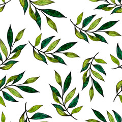 pattern of green tea stems on a white background