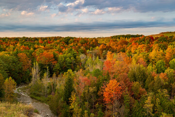 The changing of the warm autumn colors makes way at Ontario's Rouge Urban National Park.