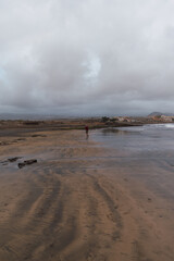 people strolling along the shore of a yellow sand beach on a cloudy day