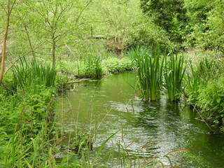Water Meadow Gardens, Chesham, Buckinghamshire