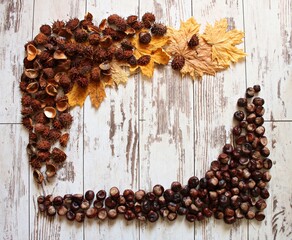 An impromptu frame made of chestnut fruits and dry yellow leaves on old boards