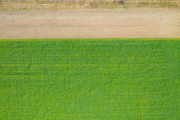 Rural country from directly above with one third of brown field and rest of green meadow. Horizontal structure in nature from drone perspective. Farmland with growing plants.