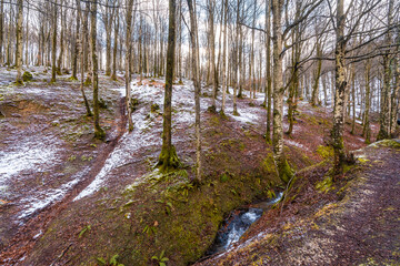 You begin to see the snow on the ascent to Mount Aizkorri in Gipuzkoa. Snowy landscape by winter snows. Basque Country, Spain