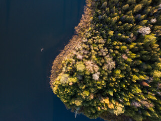 Drone aerial view  a small forest near a lake during autumn