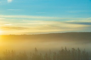 A warm, early morning, sunrise rolls over a dense fog covered forest