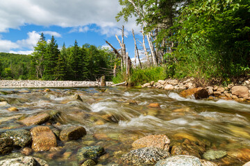 The clear rushing waters of Acadian forest flows between the Stoney banks of a river in Nova Scotia