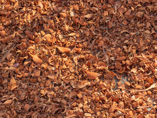 Textured background from wood chips from coconut shell