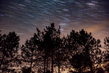 Starry night star trail over a forest in Ontario