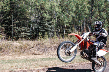Fototapeta premium Wheelie dirt bike rider one wheel high speed motorbike