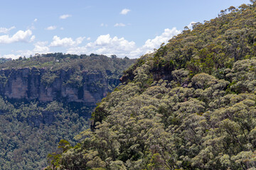 Green hill at Blue Mountains area, NSW, Australia.