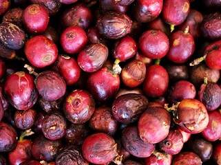 Fresh coffee beans ,cafe caffeine